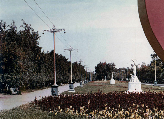 Центральная аллея парка культуры и отдыха им. 30-летия ВЛКСМ