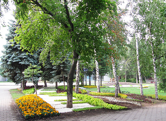 Омская городская выставка &laquo;Флора&raquo;