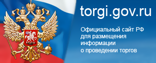 torgi.gov.ru &mdash; официальный сайт Российской Федерации для размещения информации о проведении торгов