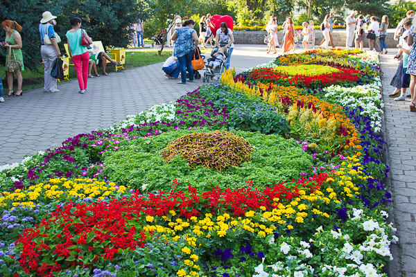 Клумба в Воскресенском сквере в дни проведения &laquo;Флоры-2015&raquo;
