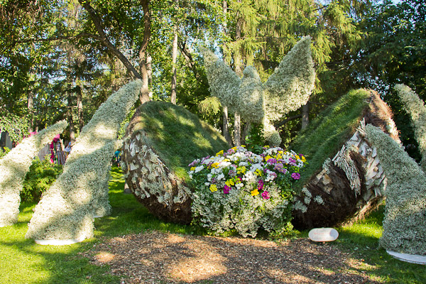 Флористическая композиция &laquo;Голубь мира&raquo;