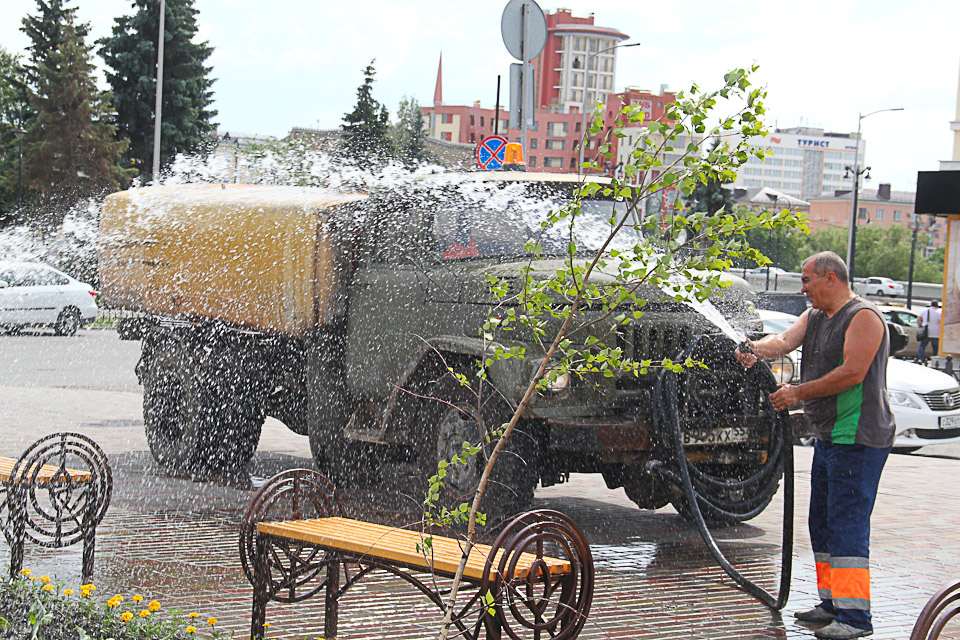 Проведено значительное озеленение