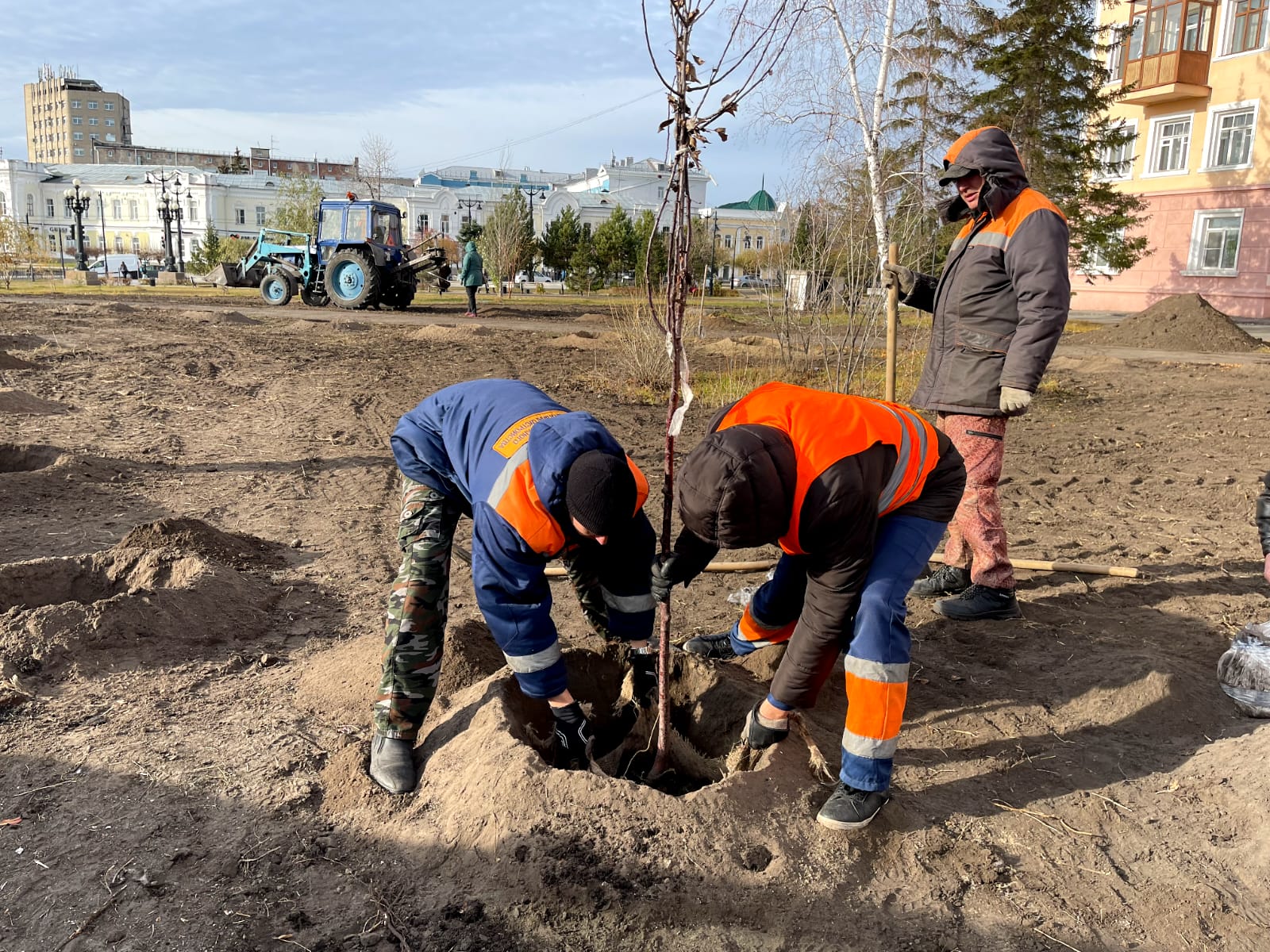 Высажено 4000 деревьев