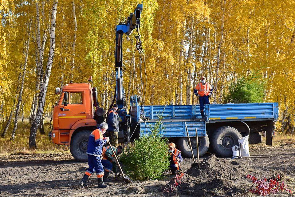  На Левобережье заложили сквер &laquo;Зеленая река&raquo;