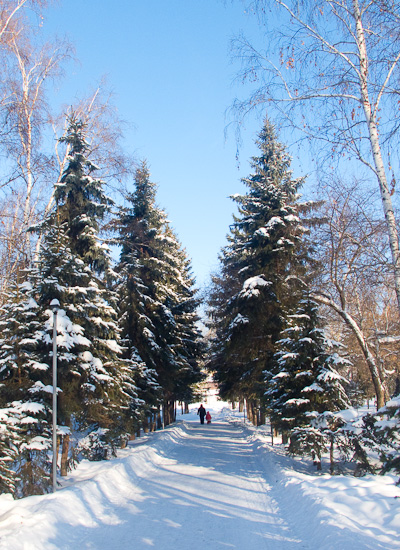 Winter walk