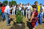 В высадке деревьев принимают участие первые лица города